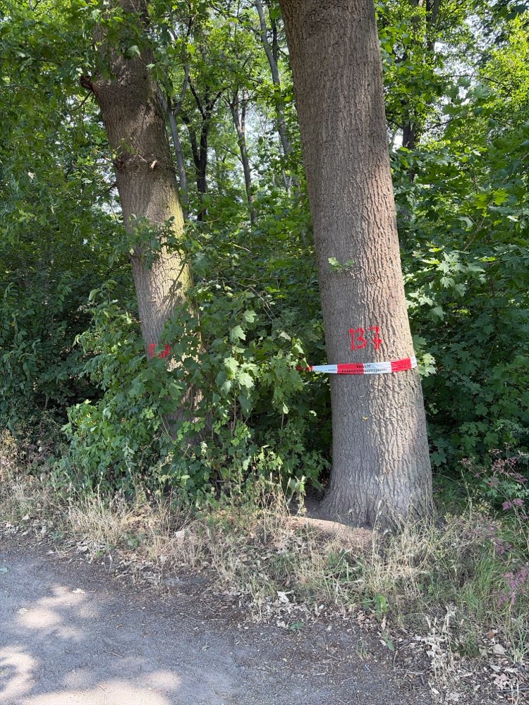 Giftköder-EPS an der Hundewiese-Profilbild