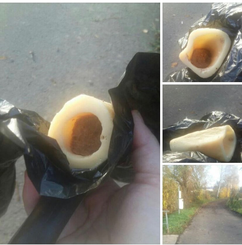 Giftköder-Ausgelegter Knochen-Profilbild