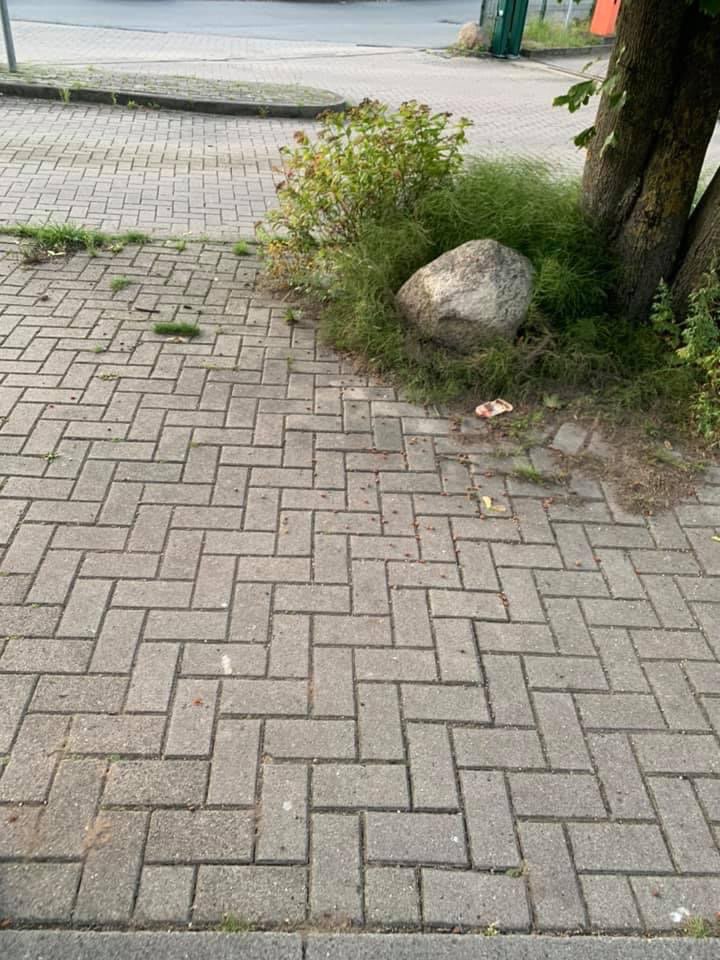 Giftköder-Giftköder-Profilbild