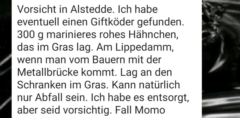 Giftköder-Giftköder-Profilbild