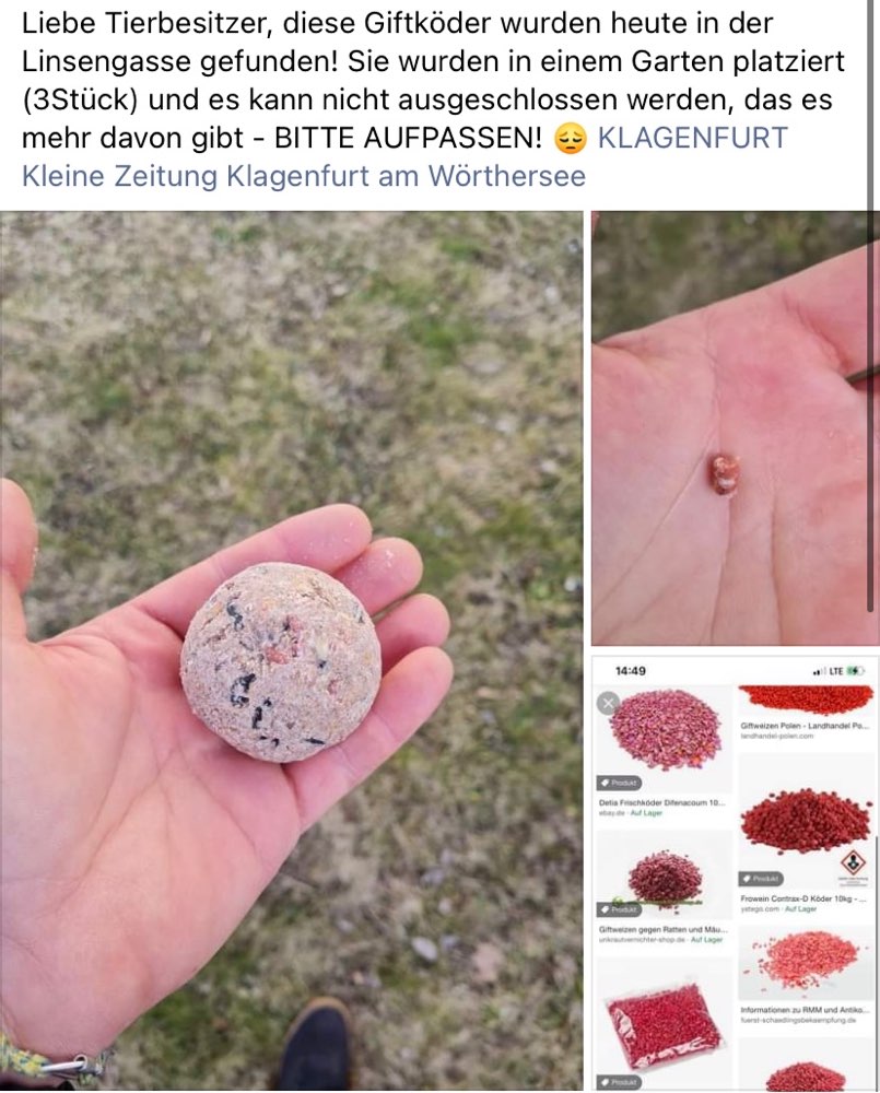 Giftköder-Giftköder-Profilbild