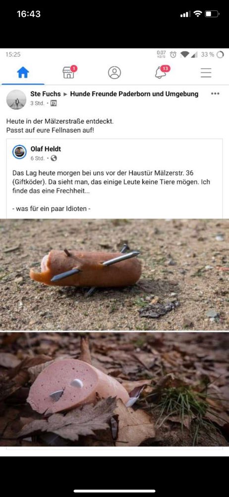 Giftköder-Giftköder-Profilbild