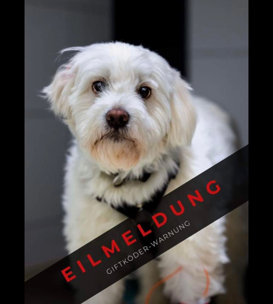 Giftköder-Höhe Werderkiosk - info weitergeleitet-Profilbild