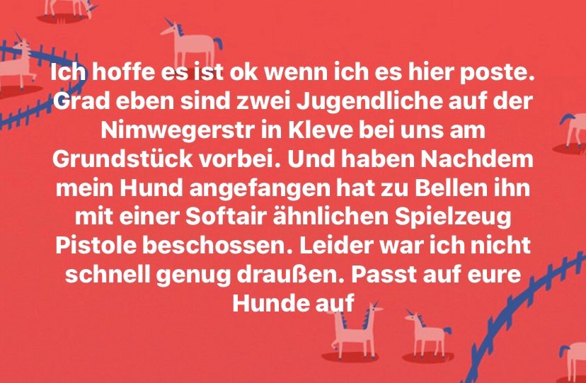 Giftköder-Jugendliche schießen auf Hund-Profilbild