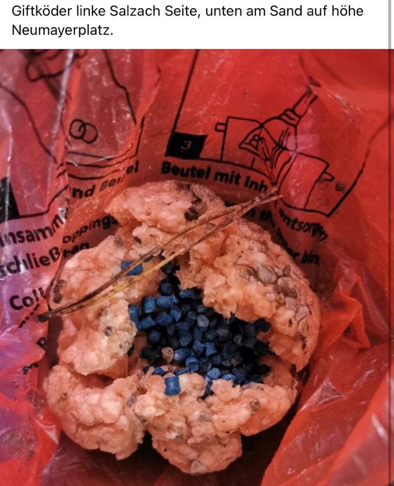 Giftköder-Rattengift-Profilbild