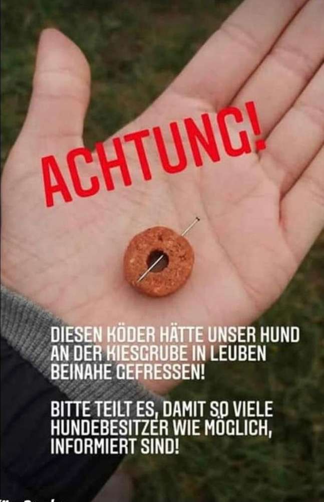 Giftköder-Köder mit Stecknadeln-Profilbild