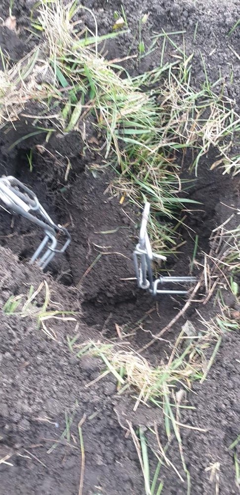 Giftköder-Fallen-Profilbild