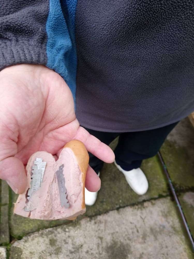 Giftköder-Wurst mit Rasierklingen-Profilbild