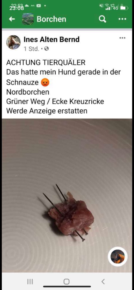 Giftköder-Giftköder-Profilbild