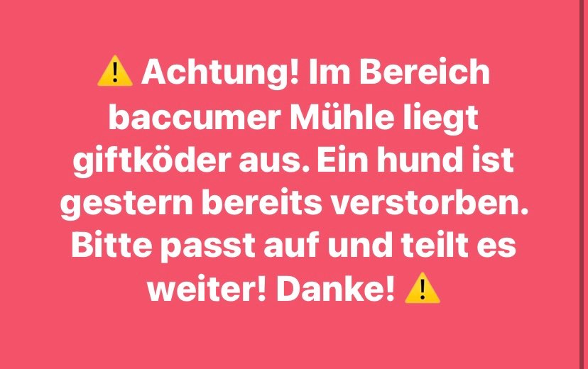 Giftköder-Giftköder-Profilbild