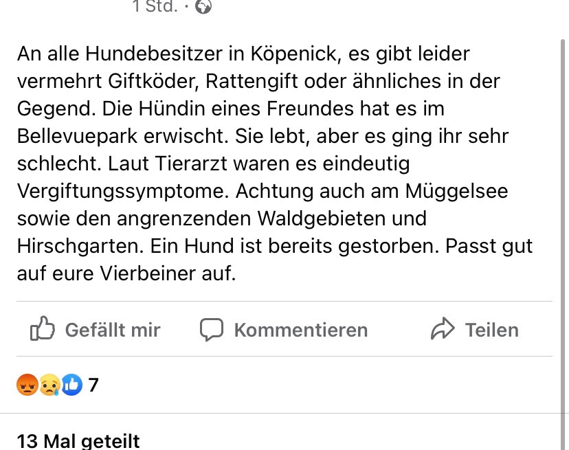Giftköder-Rattengift - vergifteter Hund-Profilbild