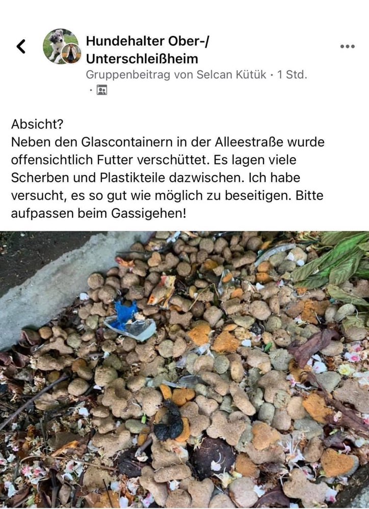 Giftköder-Futter mit Scherben-Profilbild