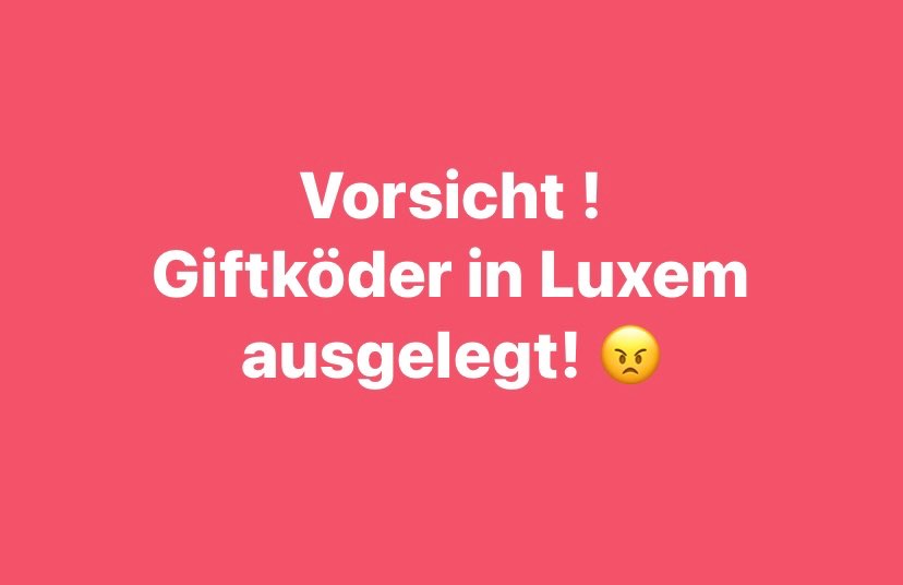 Giftköder-Giftköder-Profilbild