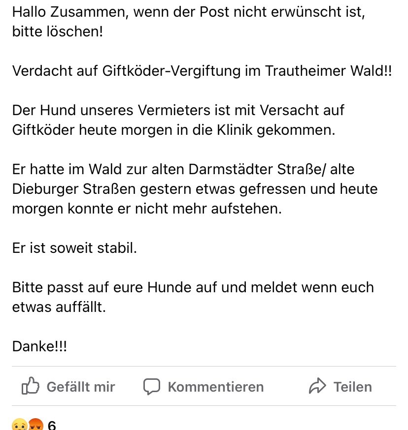 Giftköder-Vergifteter Hund-Profilbild