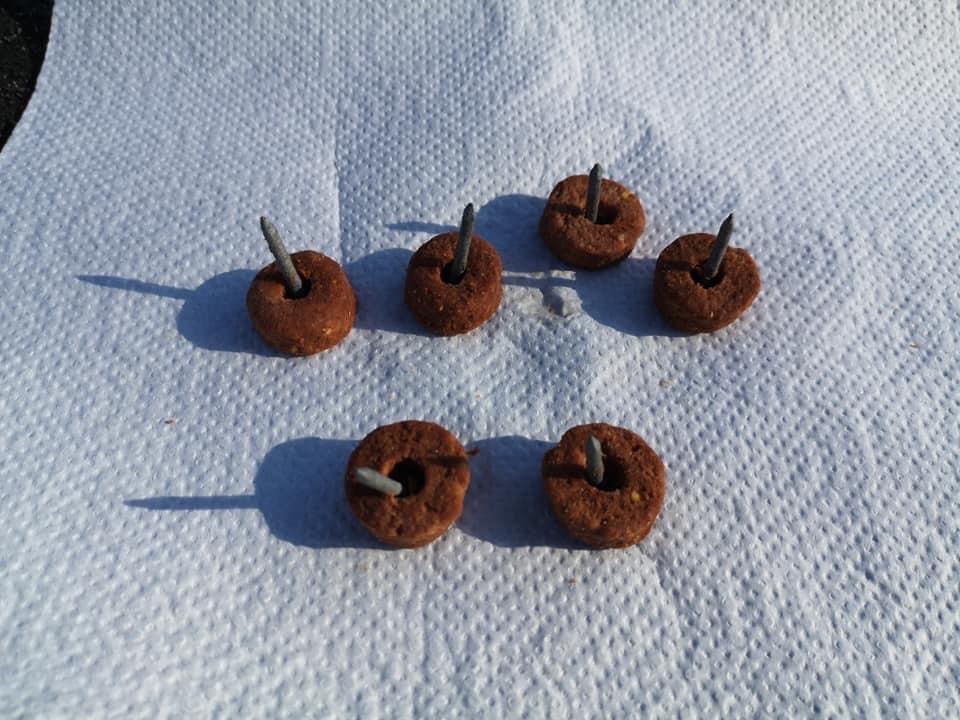 Giftköder-Frolic mit Nägel-Profilbild