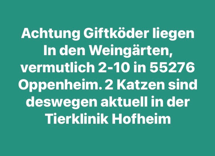 Giftköder-Giftköder-Profilbild