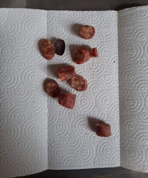 Giftköder-Mettwurstscheiben-Profilbild