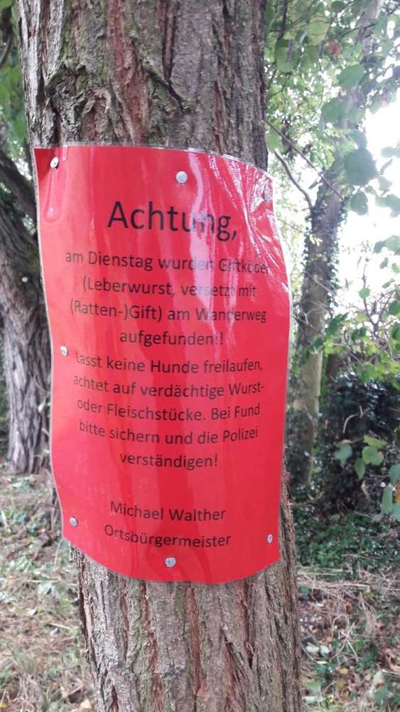 Giftköder-Giftköder-Profilbild