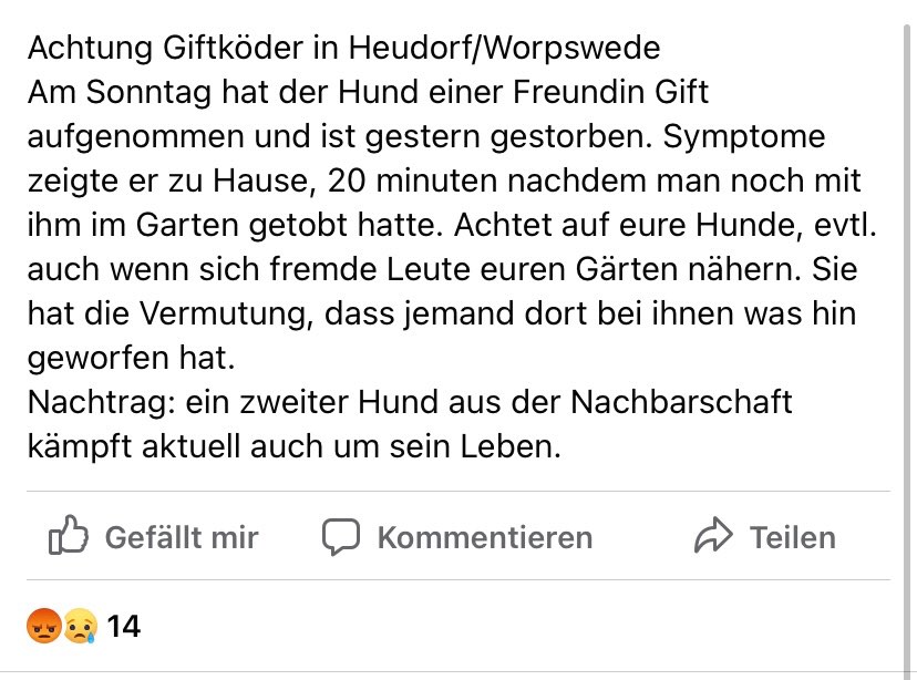 Giftköder-Hund hat Gift aufgenommen-Profilbild