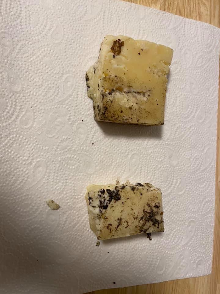 Giftköder-Käsestücke - Hund vergiftet-Profilbild