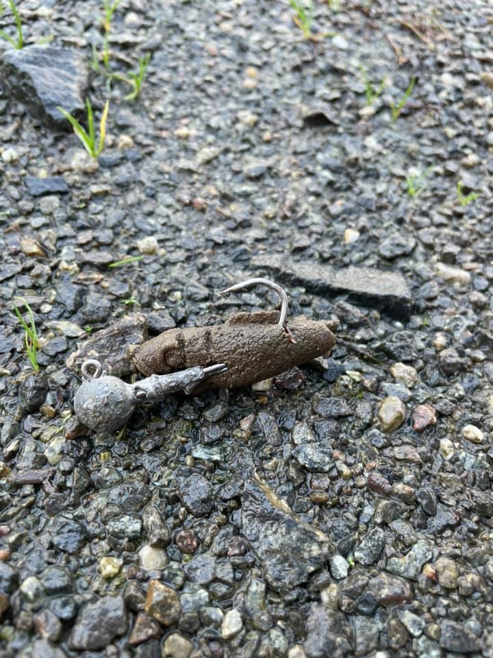 Giftköder-Leckerei mit Angelhaken-Profilbild