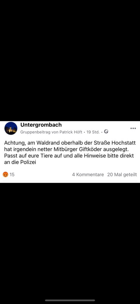 Giftköder-Giftköder-Profilbild