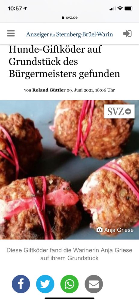 Giftköder-Giftköder im Garten des Bürgermeisters-Profilbild