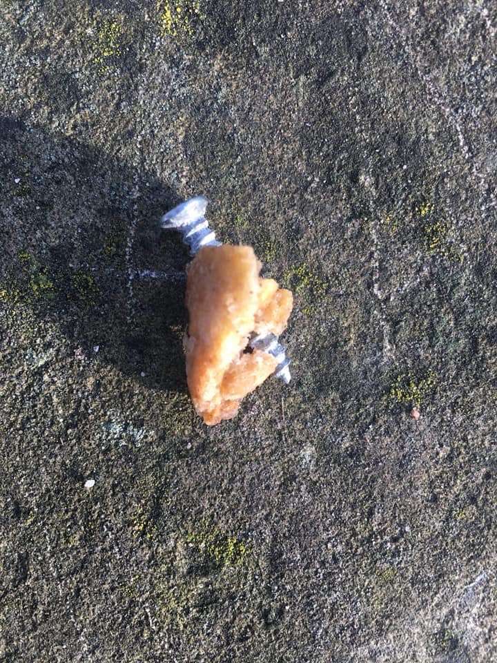 Giftköder-Präparierte Fleischreste-Profilbild