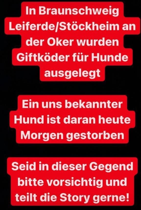 Giftköder-Giftköder-Profilbild