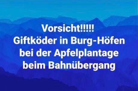 Giftköder-Giersberg und Burg am Wald-Profilbild