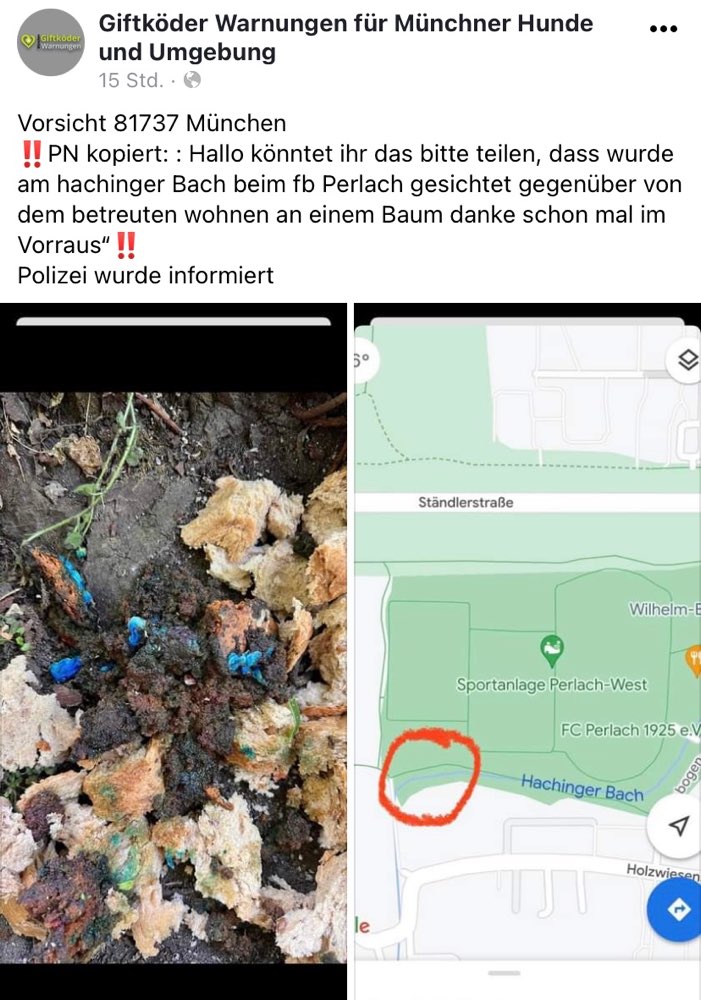 Giftköder-Möglicher Giftköder-Profilbild