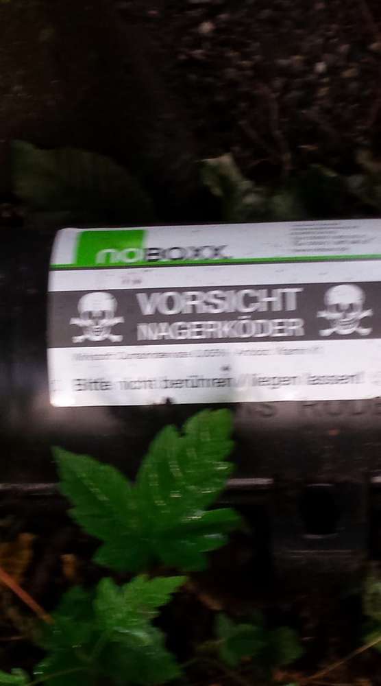 Giftköder-Nagerköder-Profilbild