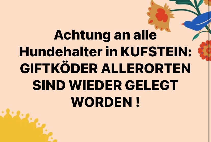 Giftköder-Giftköder-Profilbild