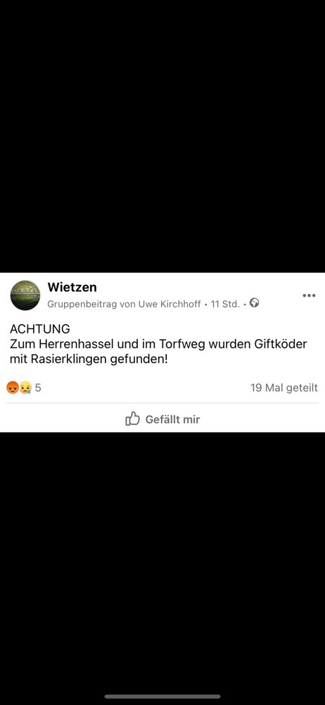 Giftköder-Giftköder mit Rasierklingen-Profilbild