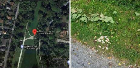 Giftköder-Giftköder-Profilbild