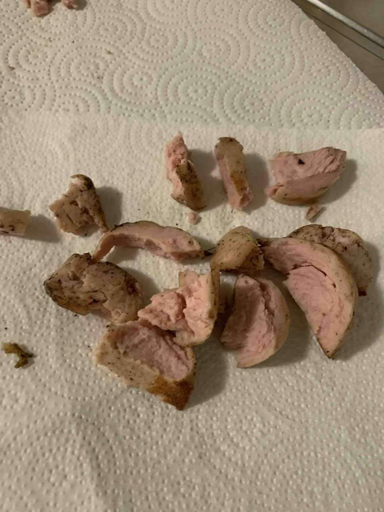 Giftköder-Präparierte Wurst-Profilbild