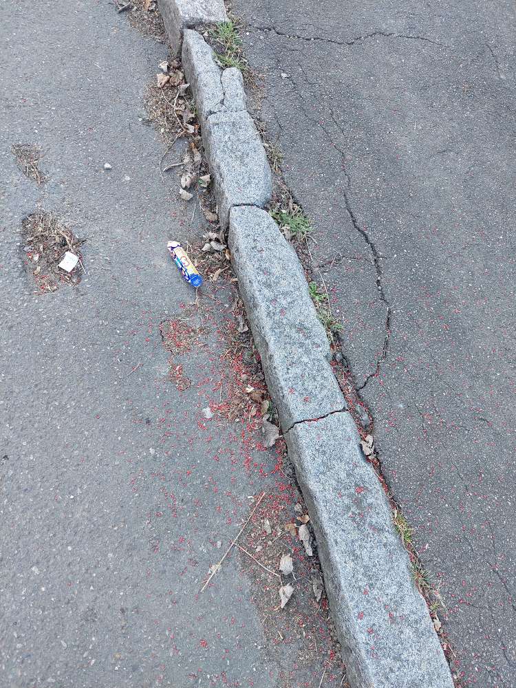 Giftköder-Giftköder-Profilbild