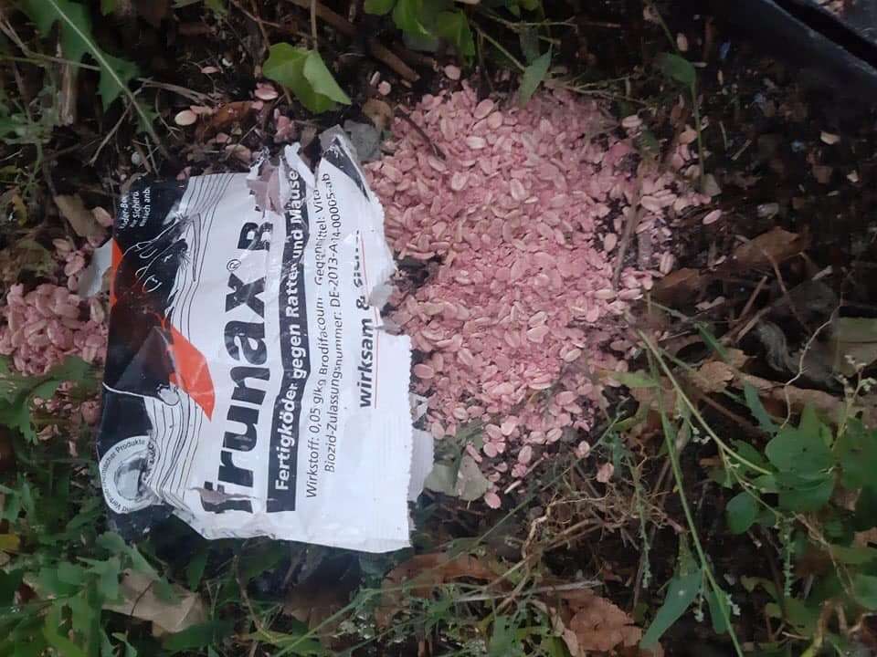 Giftköder-Rattengift-Profilbild