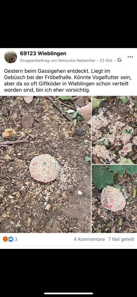 Giftköder-Vermutlich Giftköder-Profilbild