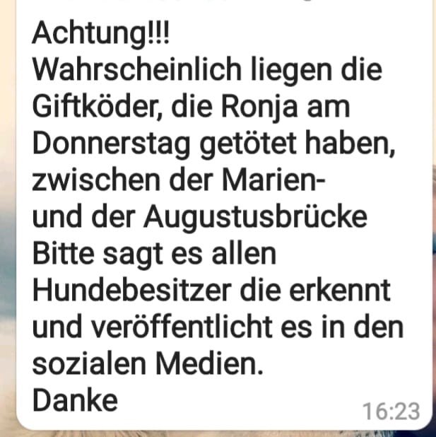 Giftköder-Giftköder Toter Hund-Profilbild