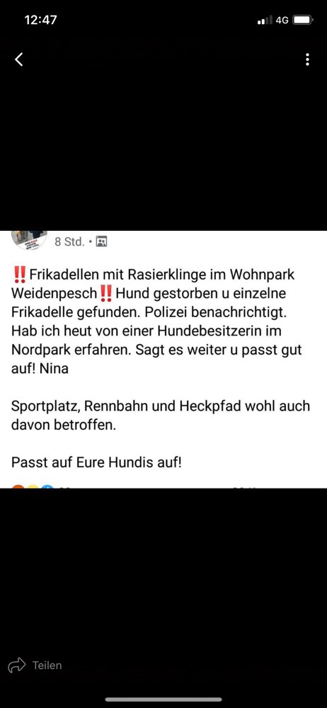 Giftköder-Frikadellen mit Rasierklingeln ausgelegt-Profilbild