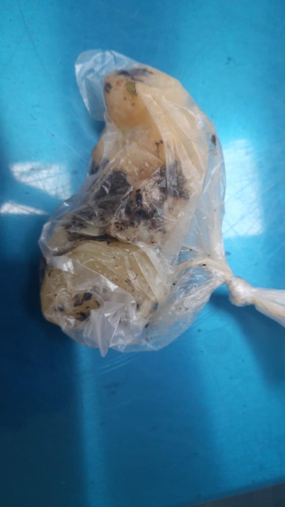 Giftköder-Giftköder - Wurst-Profilbild