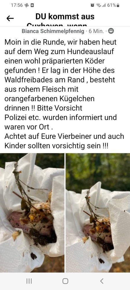 Giftköder-Giftköder-Profilbild