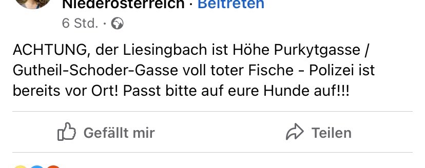 Giftköder-Viele tote Fische - vermutlich vergiftet-Profilbild
