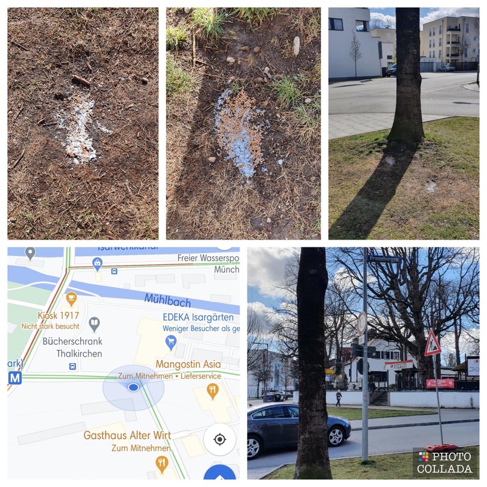 Giftköder-Pulver mit Futter-Profilbild