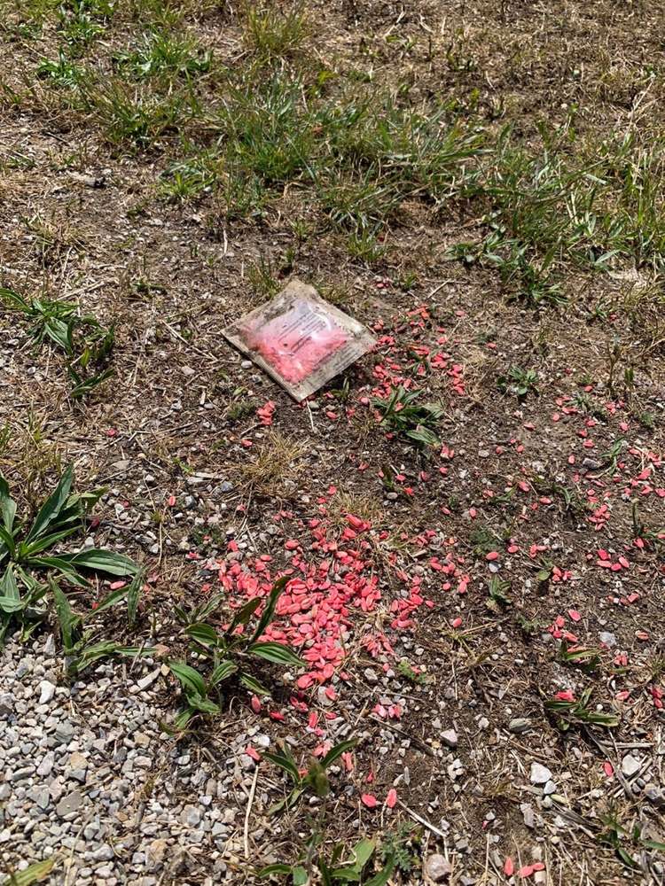 Giftköder-Giftköder / Rattengift-Profilbild