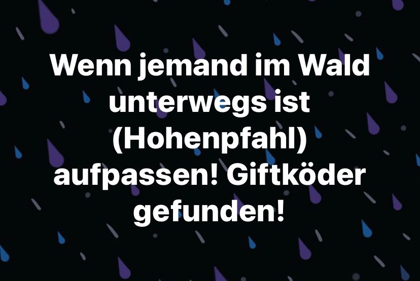 Giftköder-Giftköder im Wald-Profilbild