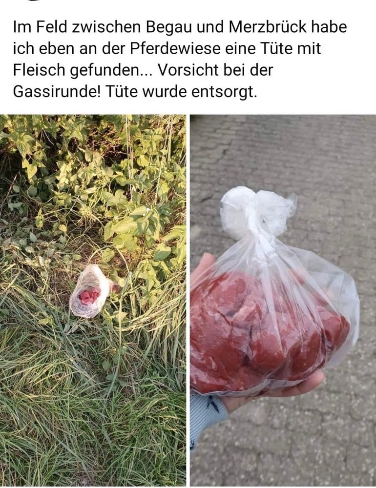 Giftköder-Tüte mit Fleisch-Profilbild