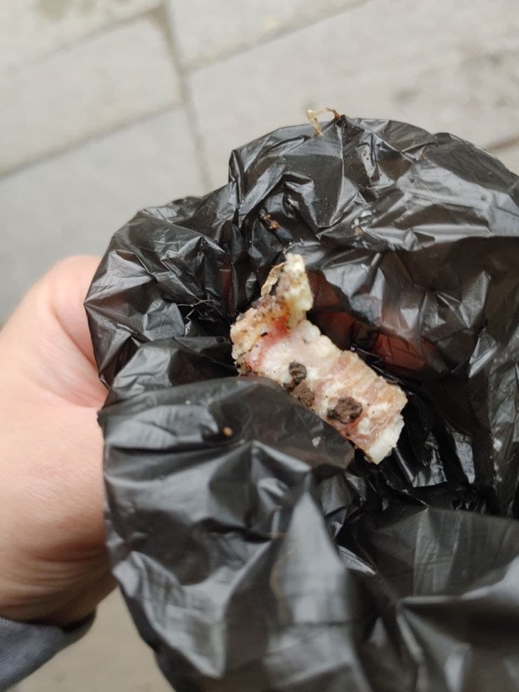 Giftköder-Ausgelegte Speckstücke-Profilbild