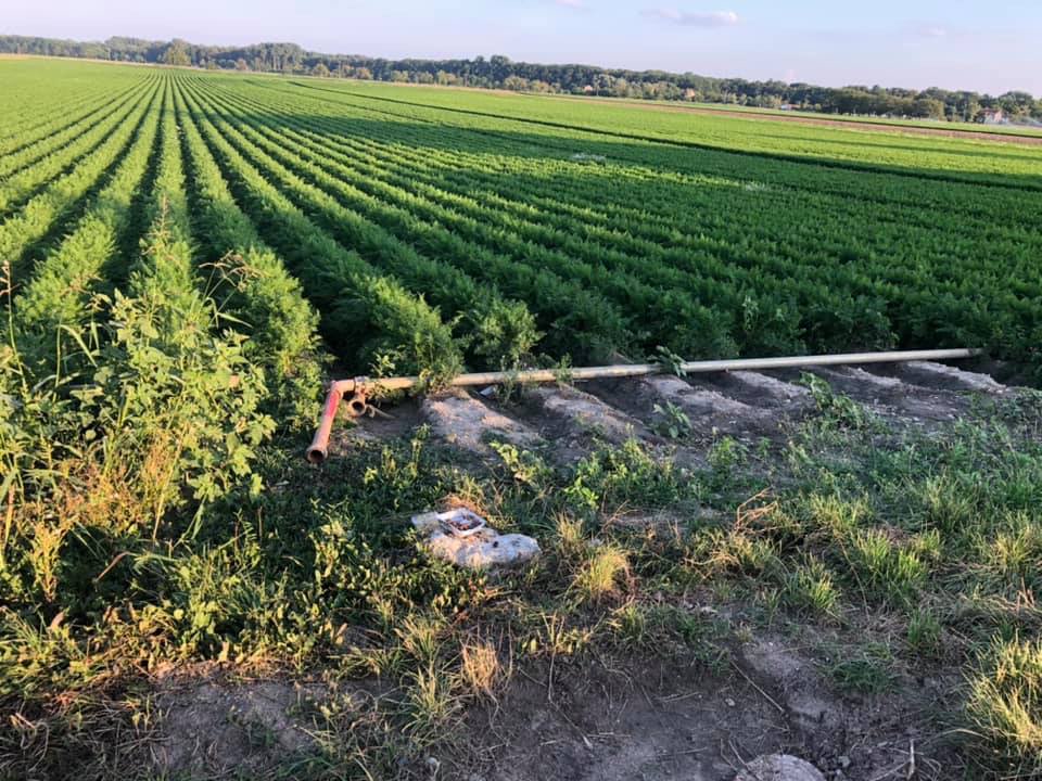 Giftköder-Vermutlich Giftköder-Profilbild